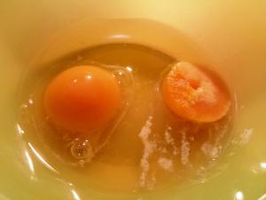 Abbildung 5: Aufgetautes Ei